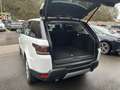 Land Rover Range Rover Sport HSE 7 places PANO Full équipé Blanc - thumbnail 13