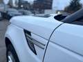 Land Rover Range Rover Sport Range Rover Sport TDV6 S Blanc - thumbnail 27