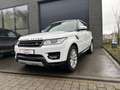 Land Rover Range Rover Sport HSE 7 places PANO Full équipé Blanc - thumbnail 1