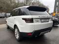 Land Rover Range Rover Sport HSE 7 places PANO Full équipé Blanc - thumbnail 4