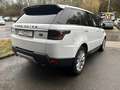 Land Rover Range Rover Sport HSE 7 places PANO Full équipé Blanc - thumbnail 3