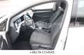 Volkswagen Golf VIII Lim. 1ST EDITION ACC PDC SZH BC TOP Blanc - thumbnail 13