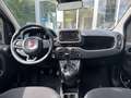 Fiat Panda 1.0 Hybrid MY'25 + City Paket *PDC hi*ZV*Bluetooth Nero - thumbnail 6