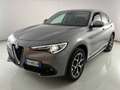 Alfa Romeo Stelvio 2.2 Turbo Executive Grigio - thumbnail 1
