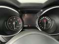 Alfa Romeo Stelvio 2.2 Turbo Executive Grigio - thumbnail 14
