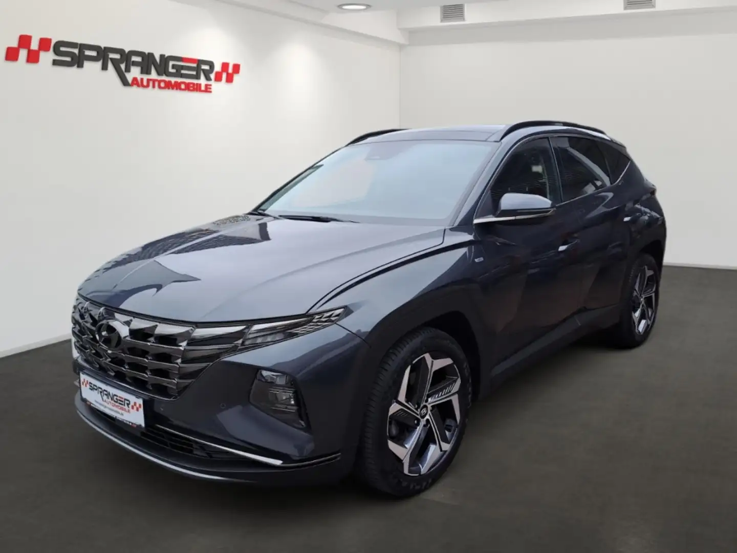 Hyundai TUCSON *4WD*elektr.Heck*AHK*R.Cam*LHZ*Shzg* Grau - 1