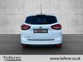 Ford C-Max Titanium 1,5 TDCi Weiß - thumbnail 6