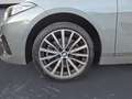 BMW Sonstige 220i xDrive Gran Coupe Step. Sport Line Navi Blu Grau - thumbnail 12