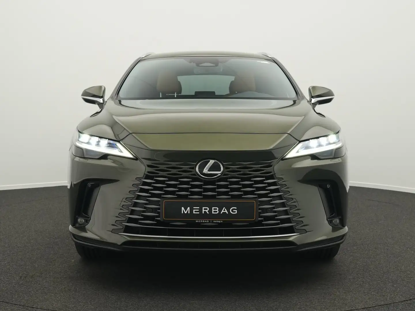 Lexus RX 350h RX 350h Luxury Line - 2