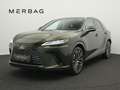 Lexus RX 350h RX 350h Luxury Line - thumbnail 1