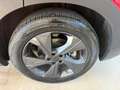 Cirelli Cirelli 4 1.6 Bi-Fuel GPL FINO AL 2033 FULL OPTIONALS Rot - thumbnail 46
