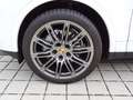 Porsche Cayenne II S Platinum Edition 4,2 Aut. Diesel Weiß - thumbnail 8