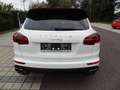 Porsche Cayenne II S Platinum Edition 4,2 Aut. Diesel Weiß - thumbnail 10