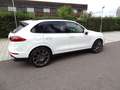 Porsche Cayenne II S Platinum Edition 4,2 Aut. Diesel Weiß - thumbnail 3