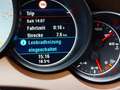 Porsche Cayenne II S Platinum Edition 4,2 Aut. Diesel Weiß - thumbnail 32