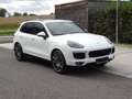 Porsche Cayenne II S Platinum Edition 4,2 Aut. Diesel Weiß - thumbnail 1