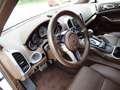 Porsche Cayenne II S Platinum Edition 4,2 Aut. Diesel Weiß - thumbnail 16