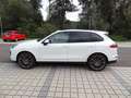 Porsche Cayenne II S Platinum Edition 4,2 Aut. Diesel Weiß - thumbnail 4