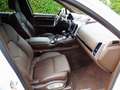 Porsche Cayenne II S Platinum Edition 4,2 Aut. Diesel Weiß - thumbnail 24