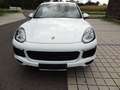 Porsche Cayenne II S Platinum Edition 4,2 Aut. Diesel Weiß - thumbnail 9