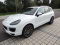 Porsche Cayenne II S Platinum Edition 4,2 Aut. Diesel Weiß - thumbnail 7
