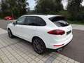 Porsche Cayenne II S Platinum Edition 4,2 Aut. Diesel Weiß - thumbnail 6