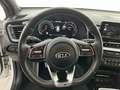 Kia ProCeed / pro_cee'd ProCeed 1.6 CRDi GT-Line LED+NAVI+RFK+Virtual+JBL Weiß - thumbnail 14