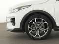 Kia XCeed Spirit 4xSitzhzg|Exclusive-Paket|Navi|Pano Weiß - thumbnail 13