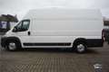 Fiat Ducato 3.0 MAXI Multijet cooler/frigo Blanco - thumbnail 13