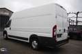 Fiat Ducato 3.0 MAXI Multijet cooler/frigo Blanco - thumbnail 5