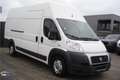 Fiat Ducato 3.0 MAXI Multijet cooler/frigo Blanco - thumbnail 2