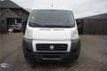 Fiat Ducato 3.0 MAXI Multijet cooler/frigo Blanco - thumbnail 15