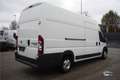 Fiat Ducato 3.0 MAXI Multijet cooler/frigo Blanco - thumbnail 4