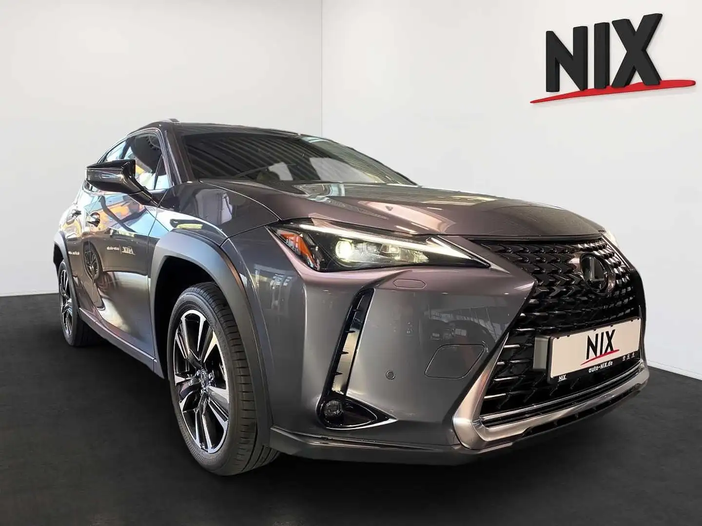 Lexus UX 250h Style Edition Grau - 2
