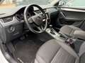 Skoda Octavia Combi Ambition*LED*Navi Blanc - thumbnail 14