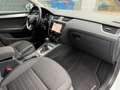 Skoda Octavia Combi Ambition*LED*Navi Blanc - thumbnail 12