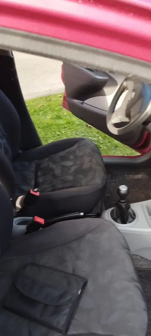 Suzuki Alto Basis - 1