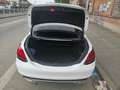 Mercedes-Benz C 180 C 180 d Business Solution Wit - thumbnail 5