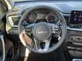 Kia Ceed / cee'd Vision 1.0 LED+NAVI+PDC+KAMERA+SITZHEIZUNG Bleu - thumbnail 12
