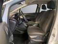 Ford C-Max C-Max 1.5 tdci Plus s&s 120cv Blanc - thumbnail 12