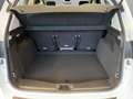 Ford C-Max C-Max 1.5 tdci Plus s&s 120cv Blanc - thumbnail 14