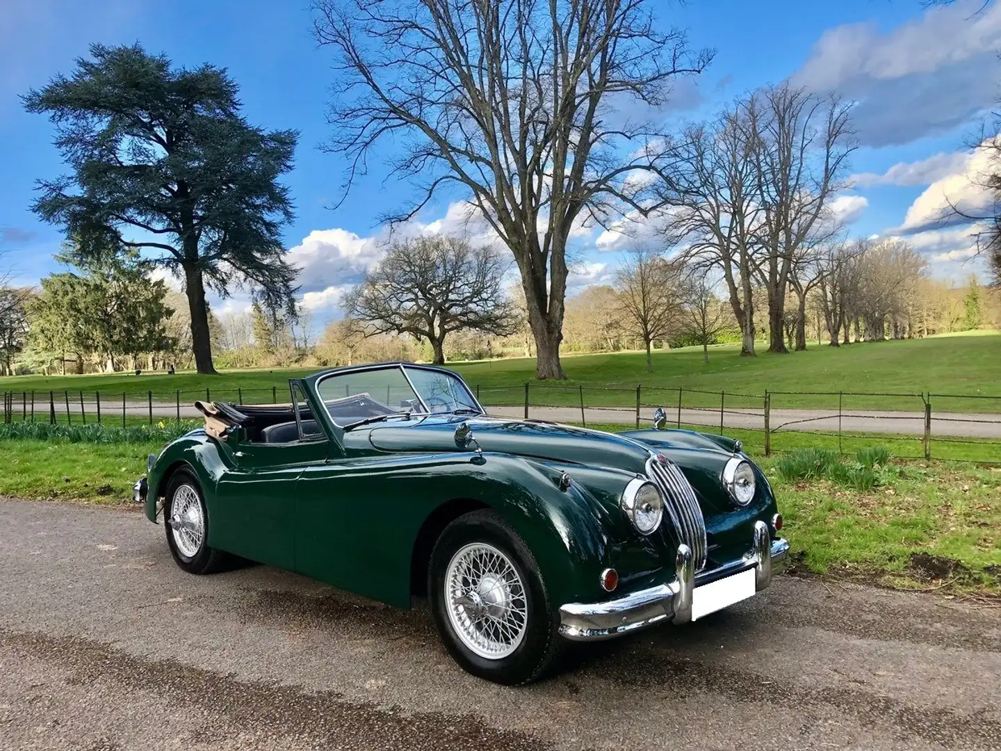 Jaguar XK XK140 SE DHC Grün - 2