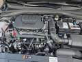 Kia Ceed / cee'd Ceed 1.5 T-GDI Vision +DCT+Navi+R.Kam+Allwetter++ Gri - thumbnail 14