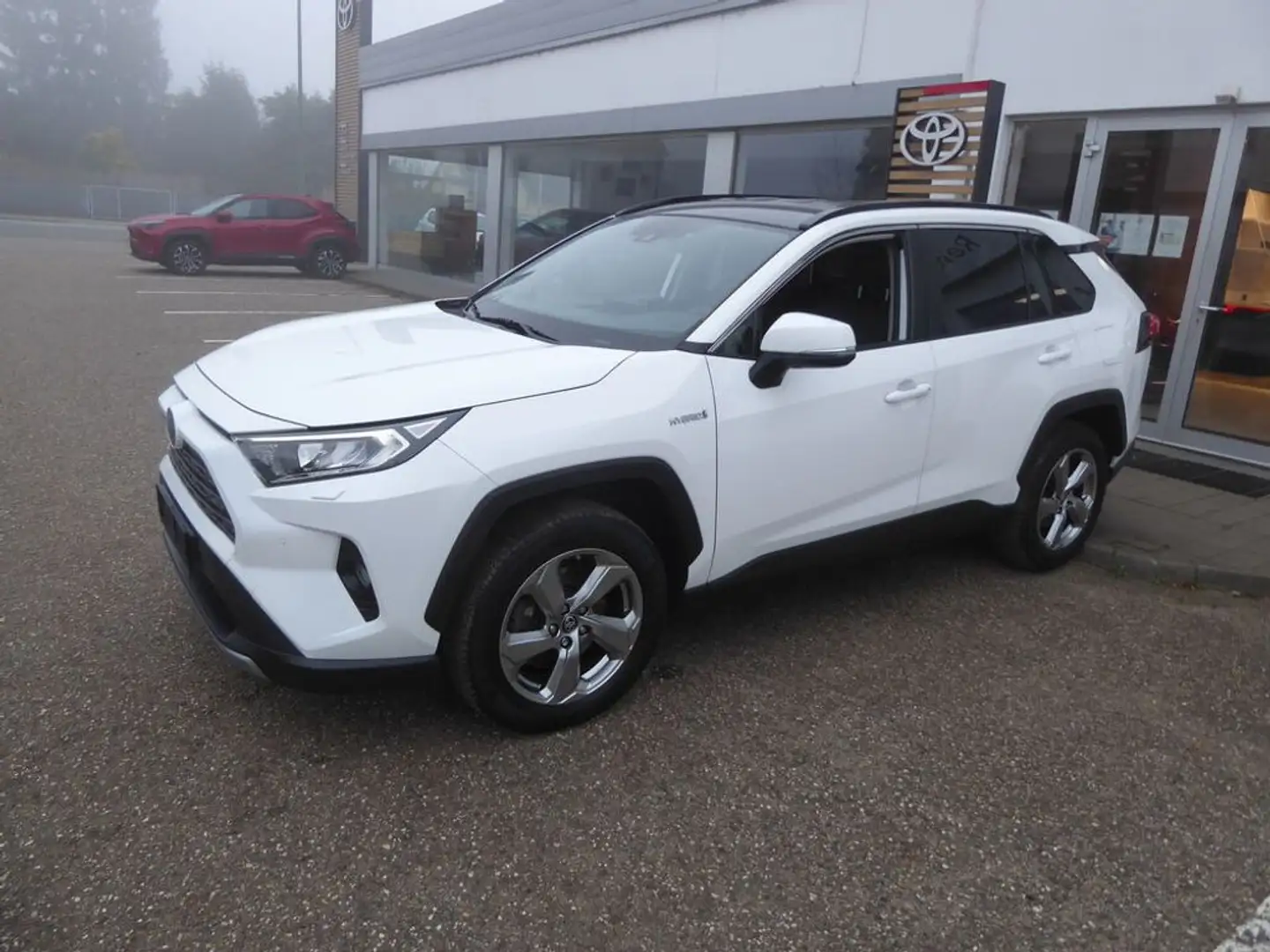 Toyota RAV 4 Hybrid 2WD *AHK*SHZ* Weiß - 2