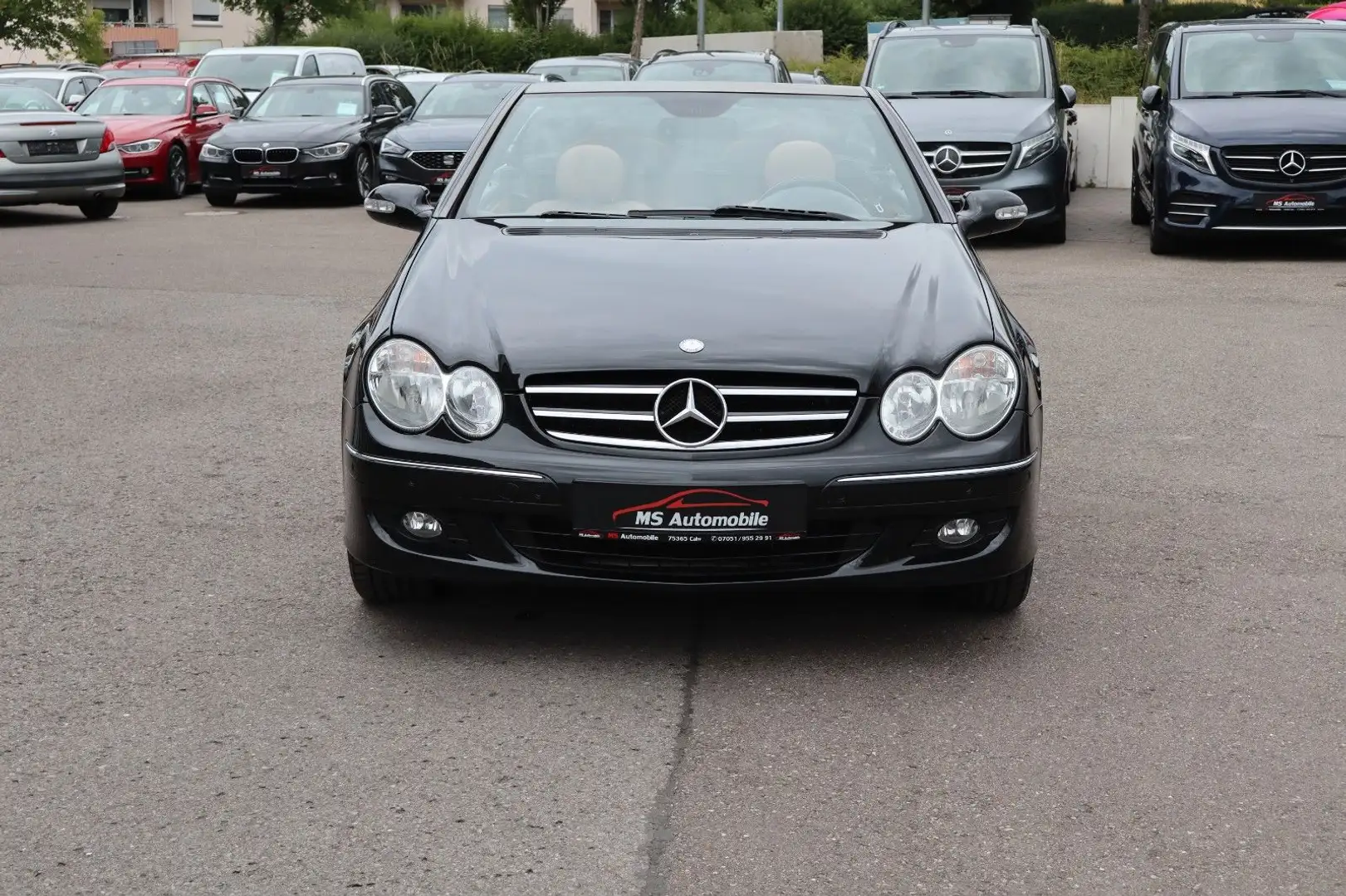 Mercedes-Benz CLK 280 Cabrio Aut. Avantgarde Leder_Nav_Sitzkli Schwarz - 2