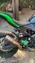 Kawasaki Z 900 A2 Depotenziata Verde - thumbnail 2