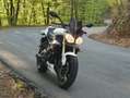 Triumph Street Triple 675 ABS Bianco - thumbnail 1