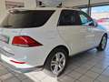 Mercedes-Benz GLE 350 d 4Matic, 360° KAMERA, AHK ELEK., LED Weiß - thumbnail 10