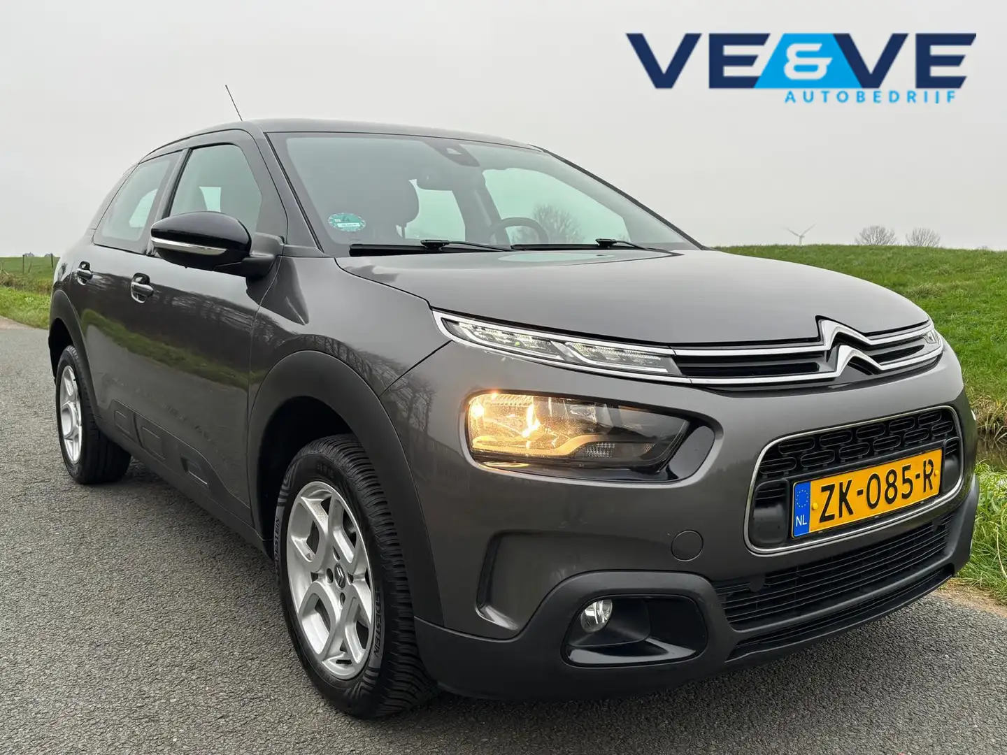 Citroen C4 Cactus 1.2 PureTech Business Grijs - 1