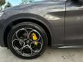 Alfa Romeo Stelvio Stelvio 2.2 t Veloce First Edition Q4 210cv auto - thumbnail 12